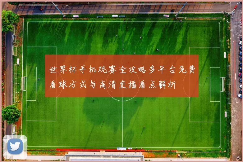 世界杯手机观赛全攻略多平台免费看球方式与高清直播看点解析